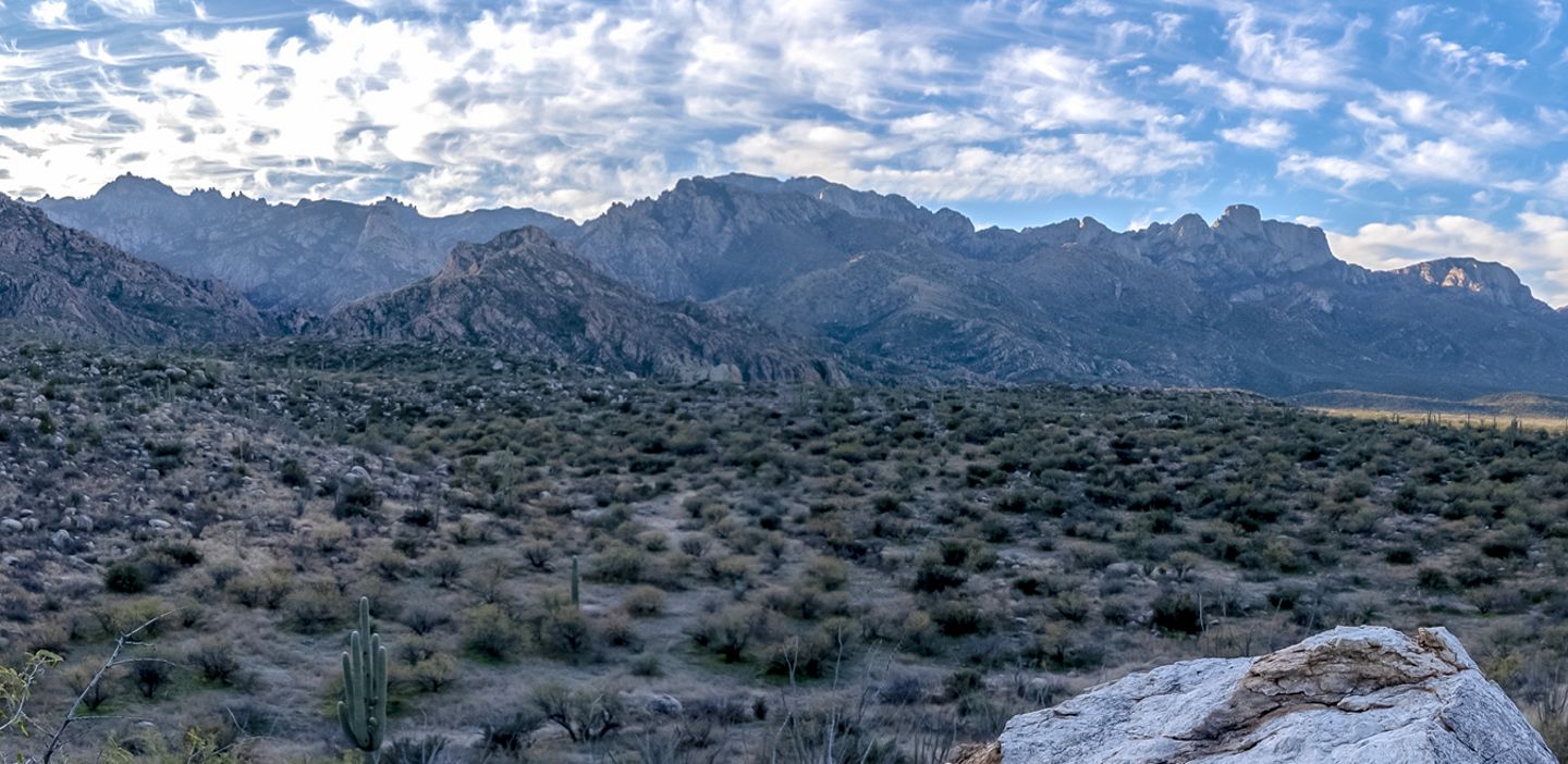 Tucson Symposium
