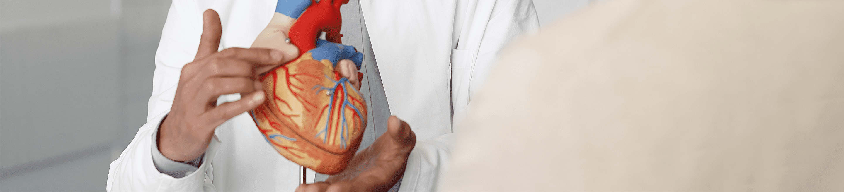 Prueba de sensibilidad a la troponina T cardíaca de Roche (visual)