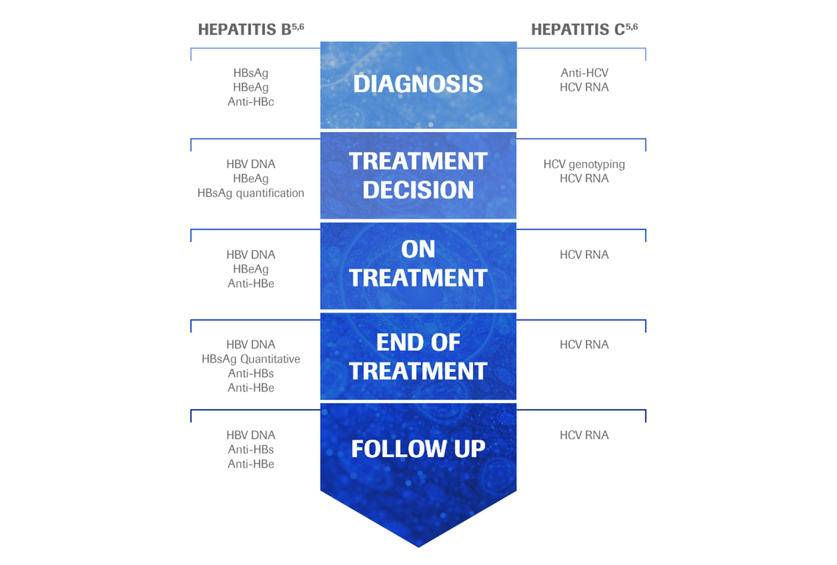 hepatitis