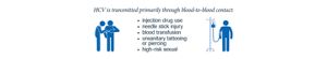 hep c transmission