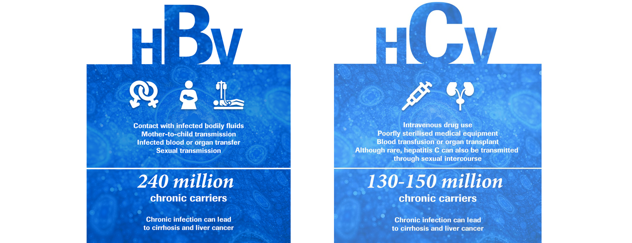 Committed To Hepatology