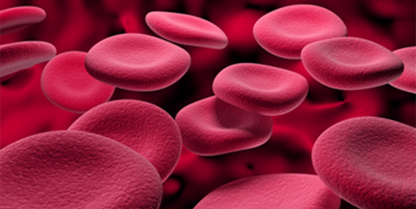 RMD_Molecular Home Assay_Bloodscreening