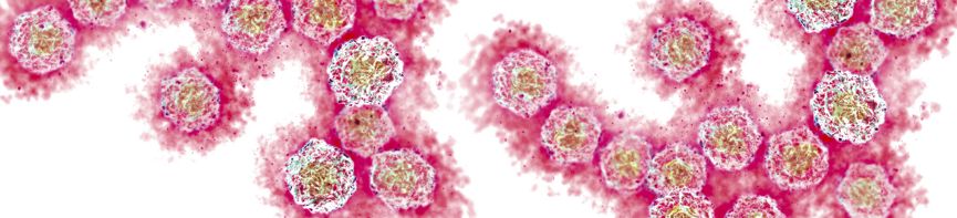 west nile virus wnv