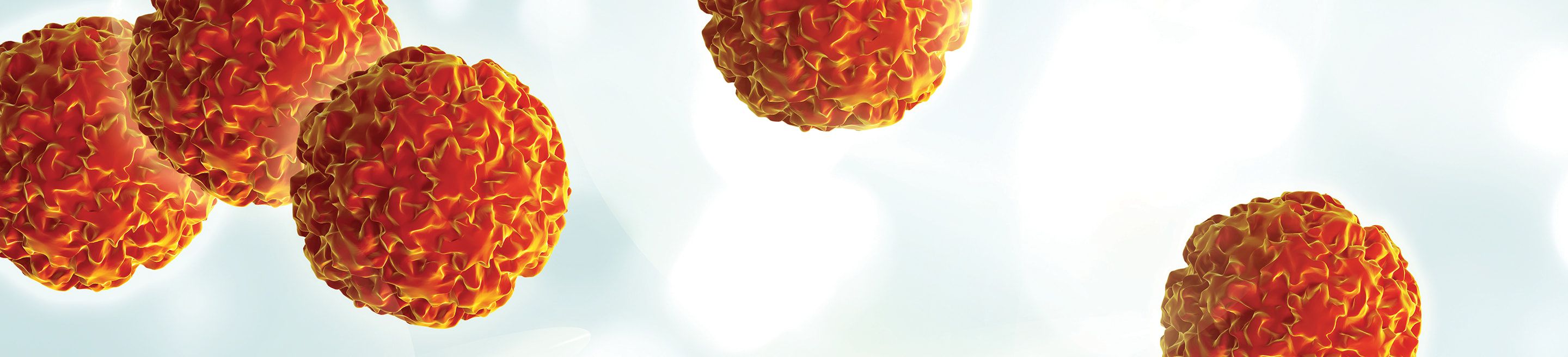 HPV virus cells