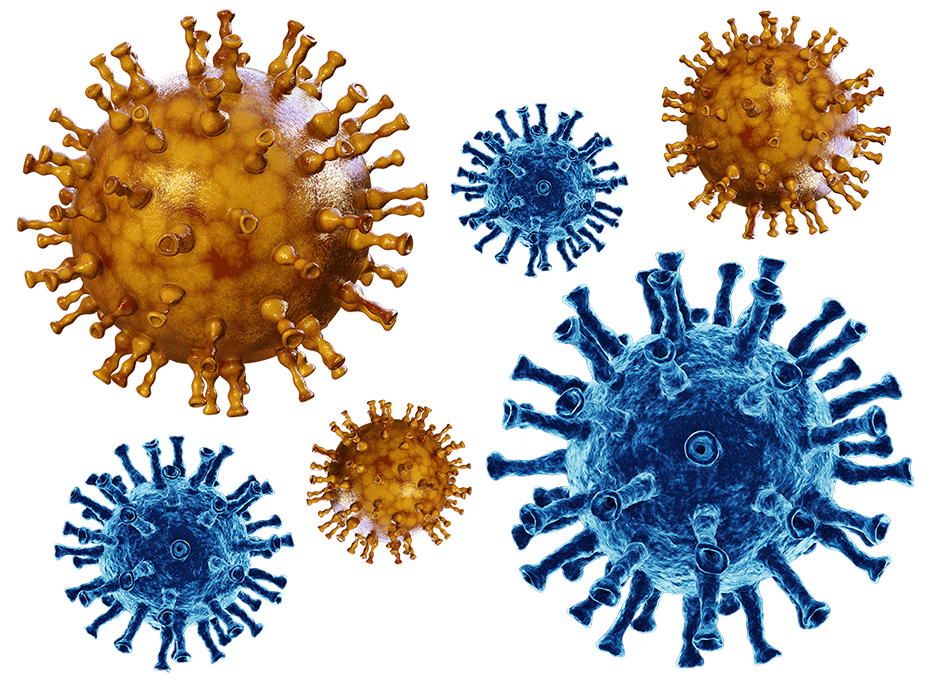 Herpes Simplex Virus And Varicella Zoster Virus Test