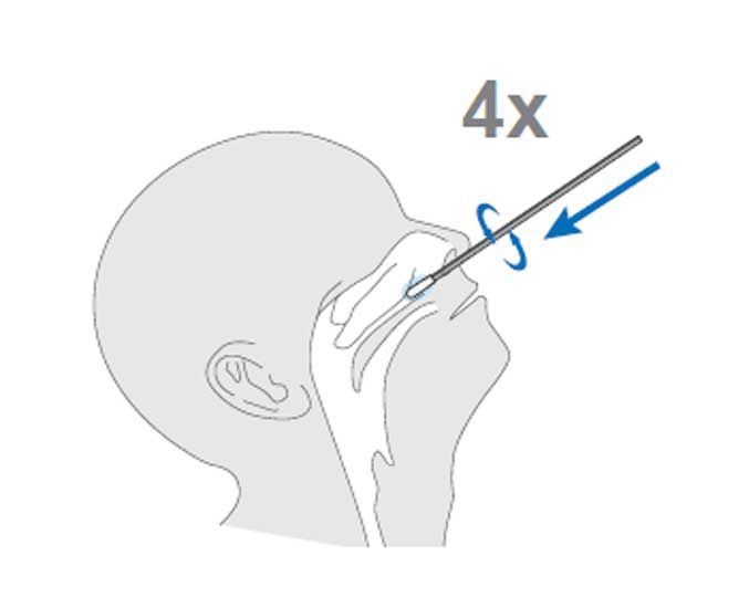 cps-infographic-sars-cov-2-rapid-antigen-test-nasal-1b