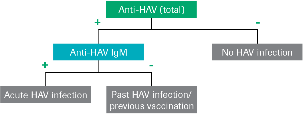 Elecsys® Anti-HAV IgM