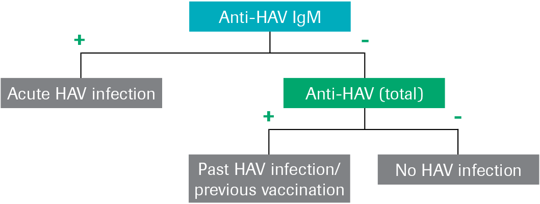 Hav2 Elecsys® Anti-HAV IgM