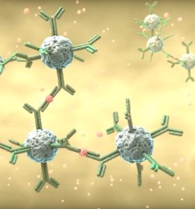 Tina Quant C Reactive Protein Gen 3