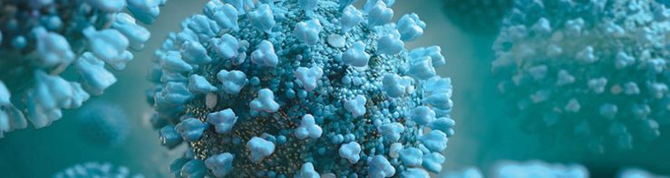 Roche Receives Fda Emergency Use Authorization For Cobas Sars Cov 2 Test To Detect Novel Coronavirus
