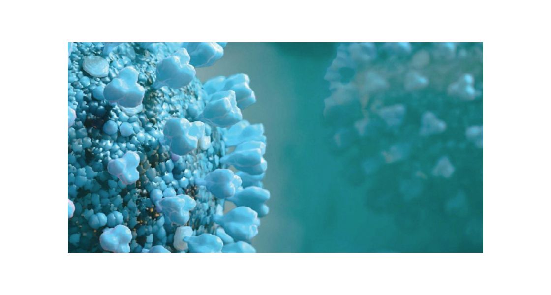 Roche Diagnostics France - Solutions de Diagnostic in Vitro