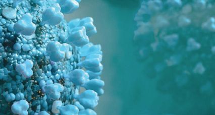 Roche Diagnostics France - Solutions de Diagnostic in Vitro