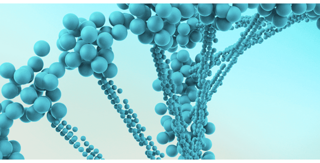 roche diagnostics