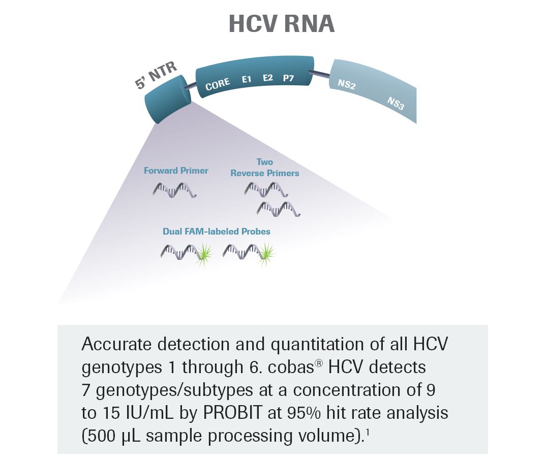 Hcv автомобили это