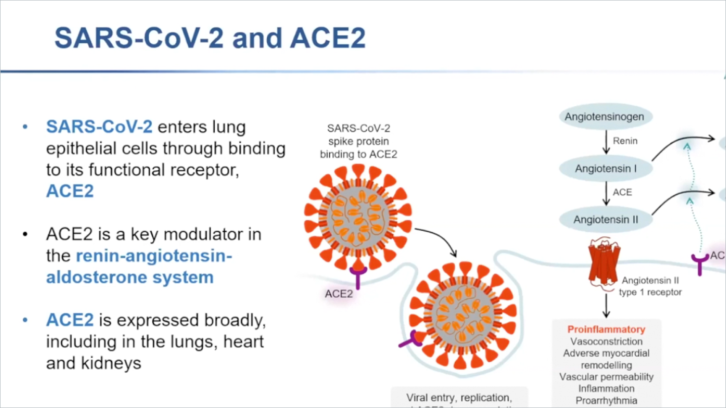 Global Pandemic Tracker Harvard Global Impact Of The Covid-19 Pandemic In Diagnosis And Management Of Cvd  (13 Min)