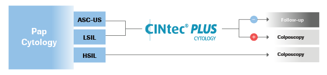 Pap cytology triage flowchart: CINtec PLUS Cytology p16 &amp; Ki-67 objective dual stain biomarker tech