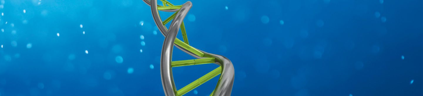 Kapa DNA polymerase illustration