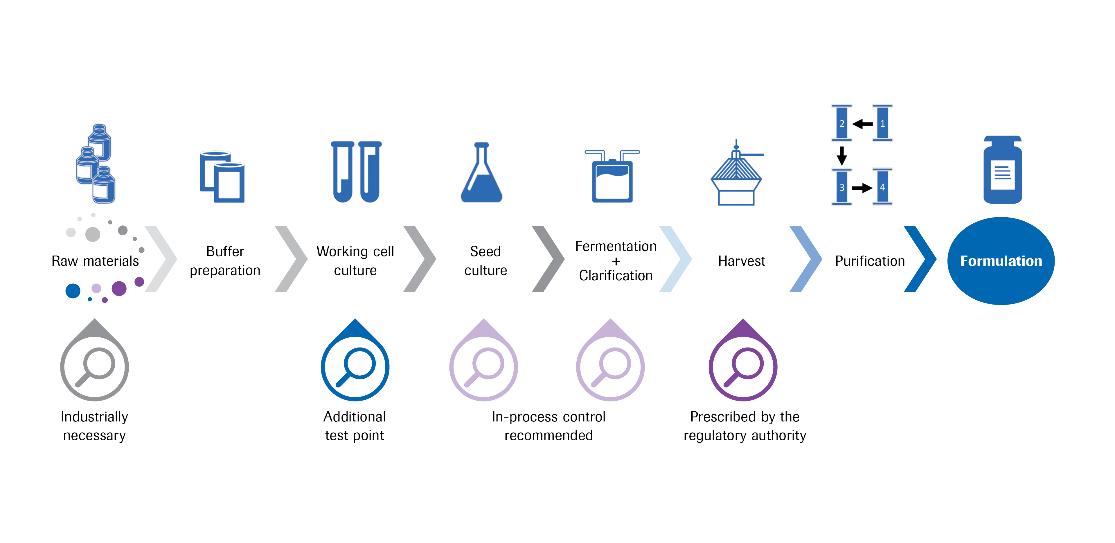 Contamination Testing Process Understanding mycoplasma testing