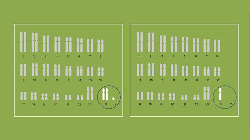 Screen For Sex Chromosome Aneuploidy Conditions With Nipt 2050