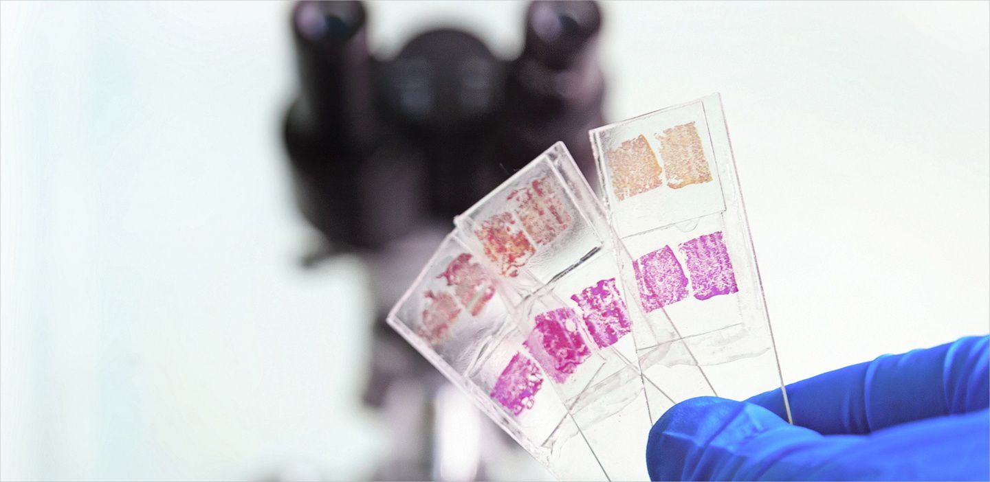 Expert Tips to Maximize the Value of Your Digital Pathology Program