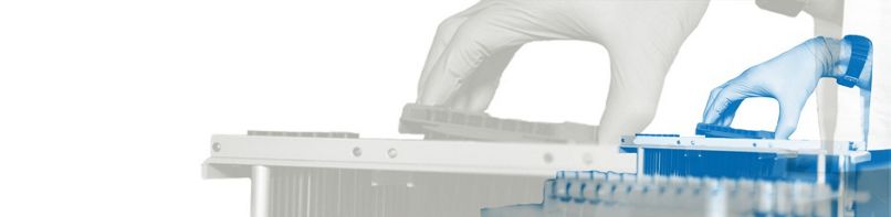 NGS Sample Preparation Reagents