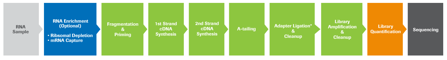 RNA Library Preparation